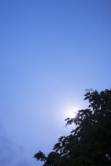 48527