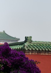 0DE33CE6-0D88-48EF-B700-77015AEAFF8E/L0/001