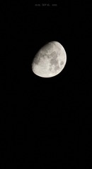 2152B556-E9EC-4C08-806F-5FF68207CCE9/L0/001
