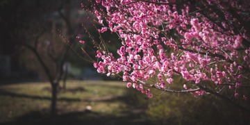 888F5F37-4D17-4E6F-82A8-F5A10AE3DA87/L0/001