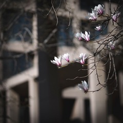 D71D68BA-04CB-4A01-92E7-C36177FC3B20/L0/001