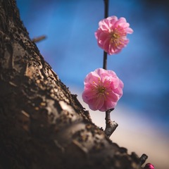 66766150-4A7C-4C27-81BE-EE5B5C4E7F60/L0/001