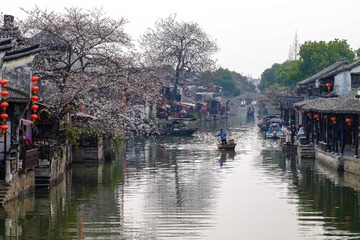 DSCF8017