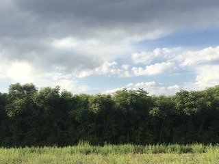 40250B3D-0F4A-4563-B919-44594D399C7D/L0/001