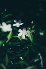 7B501B79-B41A-453F-844A-289367C0E93F/L0/001