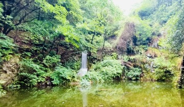 378C9055-F41E-434C-8AEB-92C45F547EE1/L0/001