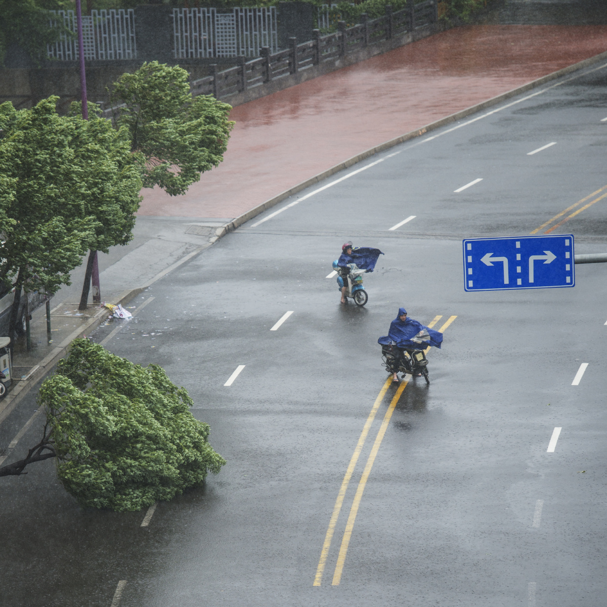 风雨兼程 - 和言悦色pd