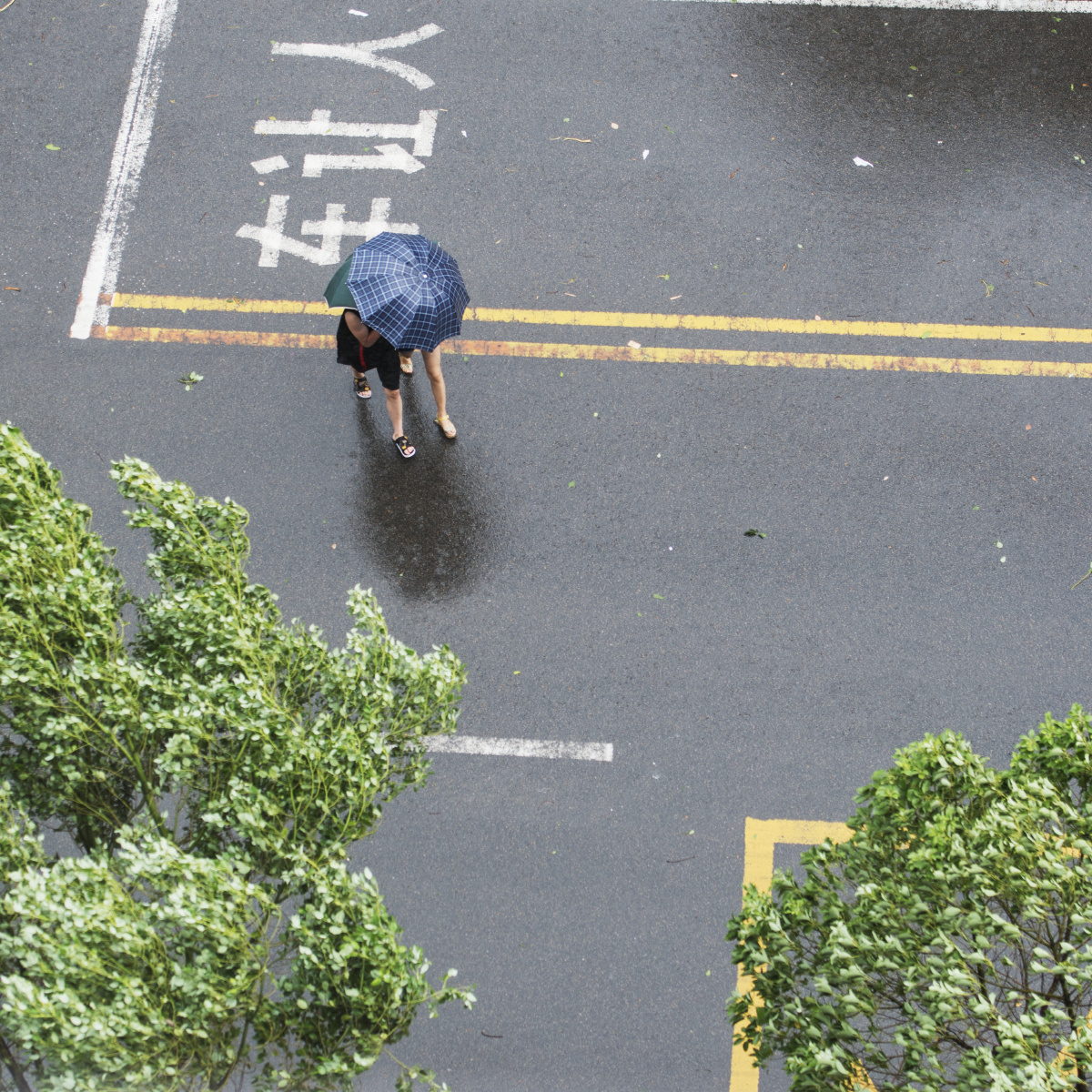 风雨兼程 - 和言悦色pd