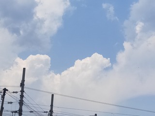 1778351