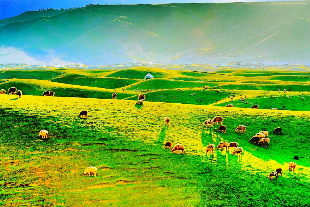 夕阳下的鹿角湾