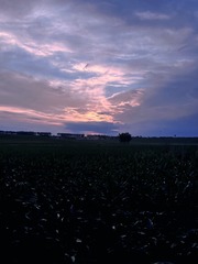 C369FC62-9DF2-4EDA-996C-39D7EE4E4D77/L0/001