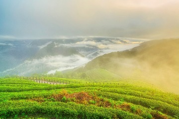 RUIJ7743_增强 拷贝
