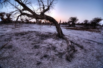 RUIJ8092_tonemapped