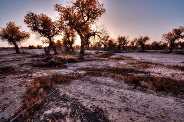 RUIJ8038_tonemapped