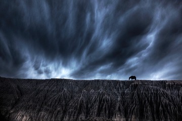 L1010115_tonemapped1