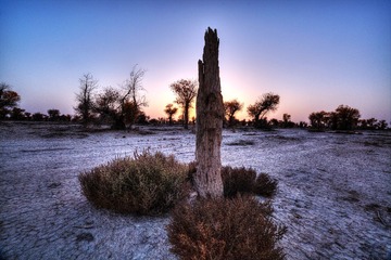 RUIJ8083_tonemapped