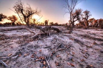 RUIJ8056_tonemapped
