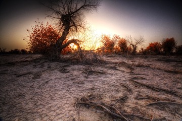 RUIJ8043_tonemapped