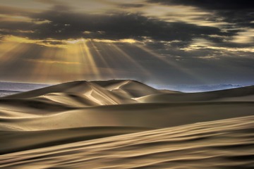 IMG_0395_tonemapped