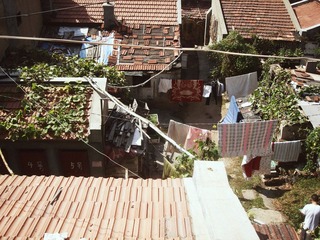 DSC02192.JPG
