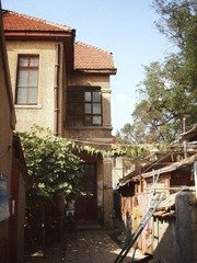 DSC02256.JPG