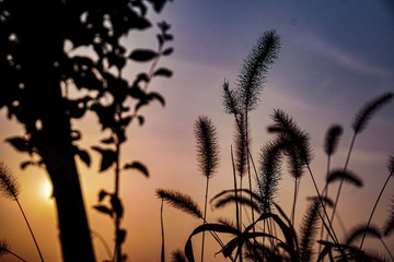 2C2248CB-B274-4EF2-9AB4-9D5622D7BD6E/L0/001