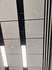 5AE77855-BA00-4E72-9EEA-18D07911A276/L0/001