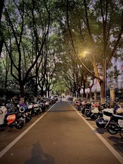 B597F6A7-FD2E-4833-8D94-71436A8B7BFE/L0/001