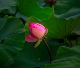 60EA58EC-B94D-4C65-8A05-FB5F74C14966/L0/001