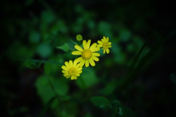 F6BC4525-C249-42FE-9AA1-96368E80DA6E/L0/001