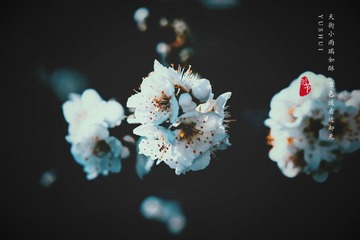 A9962833-F593-46A7-9E1C-C7876DED848D/L0/001