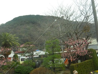 日本 (187).JPG