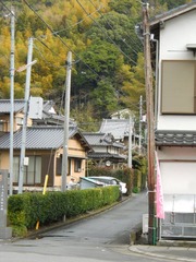 日本 (190).JPG