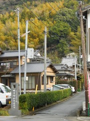 日本 (191).JPG
