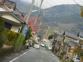 日本 (193).JPG