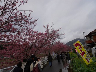 日本 (195).JPG