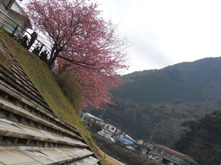 日本 (198).JPG