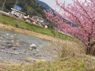 日本 (199).JPG