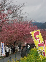 日本 (202).JPG