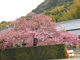 日本 (203).JPG