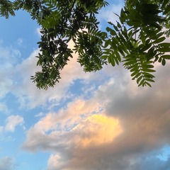 D210047E-1EBD-4045-9F99-09C8034D8D9A/L0/001