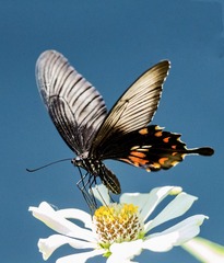 72F9A3DB-F867-4485-9256-DFD5C7BD211C/L0/001