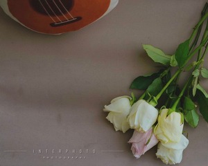 0BB846D3-42AD-43B5-A3A1-1DC96A1F4359/L0/001
