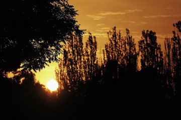 3DE7F130-0D78-4050-9E62-683A2F1074D1/L0/001