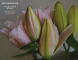 873D7680-9CB8-4A3B-A754-0DC3D2A9DDCF/L0/001