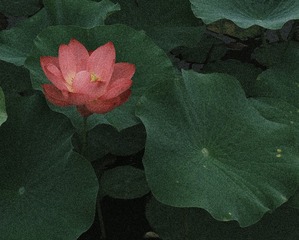 001