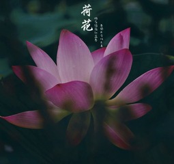 B12E9F48-C931-44E4-85A6-81A2FCFA8BF9/L0/001