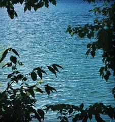 50F3268B-04EC-41DA-B4D1-A92467C18980/L0/001