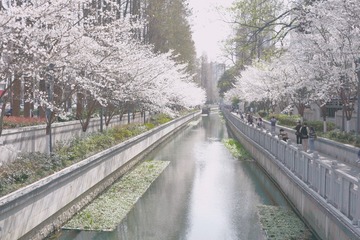 808CE544-245F-4F4B-9C5B-63C59AC224F5/L0/001