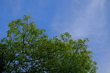21013